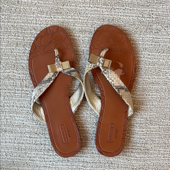 Coach Sable Metallic Snake Skin Signature Sandal - Picture 1 of 4